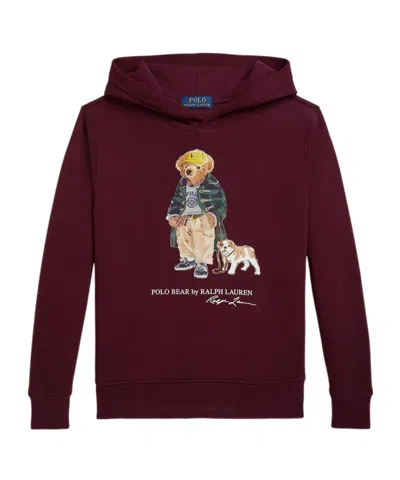 Polo Ralph Lauren Hooded Sweatshirts In Brown
