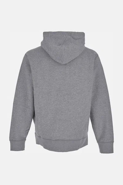 Polo Ralph Lauren Zip-up Sweatshirt In Gray