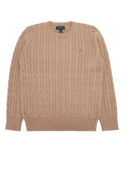 Polo Ralph Lauren Jr Kids Mini Knit Sweater In Brown