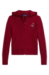 Polo Ralph Lauren Ralph Lauren Polo Bear Cotton Full-zip Sweater In Brown
