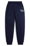 Polo Ralph Lauren Ralph Lauren Logo Fleece Jogger Pant In Blue
