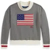 Polo Ralph Lauren Ralph Lauren Flag Fleece Mockneck Sweatshirt In Gray