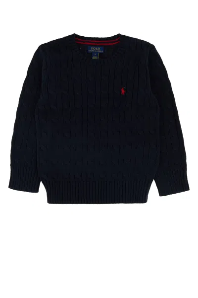 Polo Ralph Lauren Kids Mini Logo Sweater In Rlnavyc3807