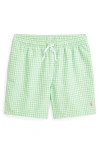 Polo Ralph Lauren Toddler And Little Boys Traveler Drawstring Waistband Swim Trunk In Classic Gingham Lime