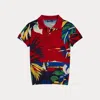 Polo Ralph Lauren Knit Wool Graphic Polo Shirt In Multi