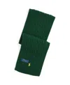 Polo Ralph Lauren Kids' Little And Toddler Boys Cable-knit Cotton Scarf In New Forest