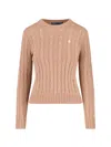 Polo Ralph Lauren Polo-pony-motif Cotton Jumper In Brown