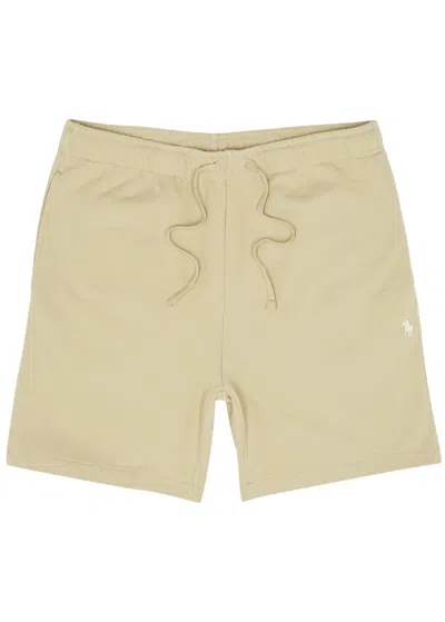 Polo Ralph Lauren Logo-embroidered Cotton Shorts In Beige