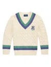 Polo Ralph Lauren Embroidered Cotton Cricket Sweater In Nude