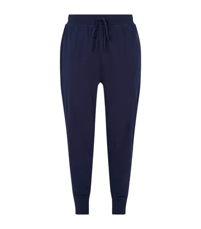 Polo Ralph Lauren Logo Sweatpants In Navy