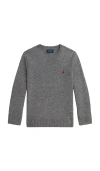 Polo Ralph Lauren Long Sleeve Crewneck Sweater In Gray