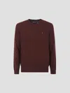 Polo Ralph Lauren Ls Cn Pp-long Sleeve-pullover In Brown