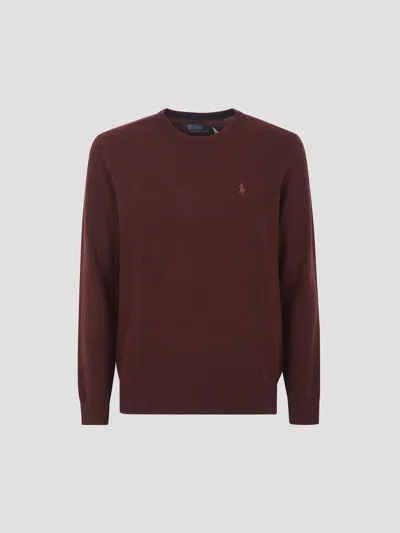 Polo Ralph Lauren Ls Cn Pp-long Sleeve-pullover In Brown