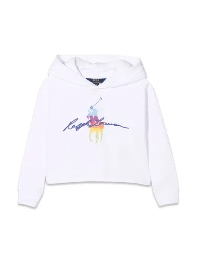 Polo Ralph Lauren Lsboxhood-knitshirts-sweatshirt In Multi