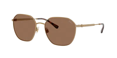 Polo Ralph Lauren Hreritage Geometric-frame Sunglasses In Brown