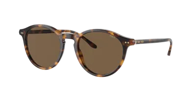 Polo Ralph Lauren Man Sunglasses Ph4193 In Dark Brown