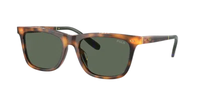 Polo Ralph Lauren Man Sunglass Ph4205u In Brown