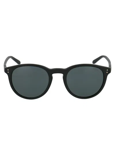 Polo Ralph Lauren Matte Black Acetate Sunglasses