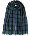 Polo Ralph Lauren Men's Outdoor Crinkle Plaid Scarf In Blue,green