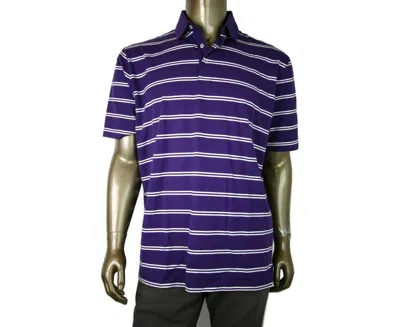 Polo Ralph Lauren Men's Striped Polo Shirt In Multi