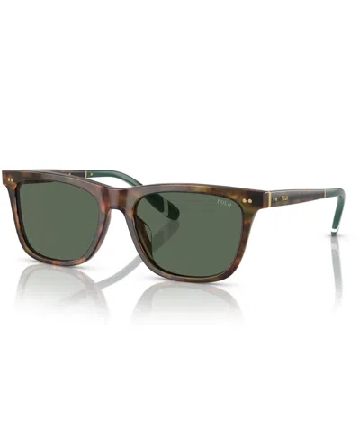 Polo Ralph Lauren Men's Sunglasses, Ph4205u In Shiny Brown Tortoise