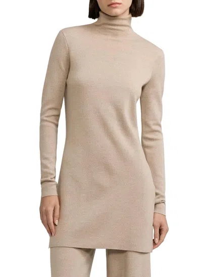 Polo Ralph Lauren Merino Wool Mockneck Tunic Sweater In Mineral In Multi