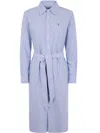 Polo Ralph Lauren N Cory Long Sleeve Day Dress In Purple