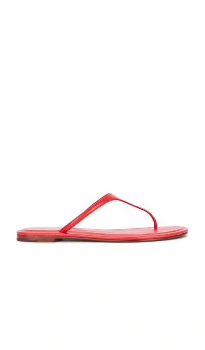 Polo Ralph Lauren Nappa Thong Flat Sandals In Red