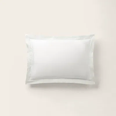 Polo Ralph Lauren Organic Cotton Sateen Border Sham In Parchment