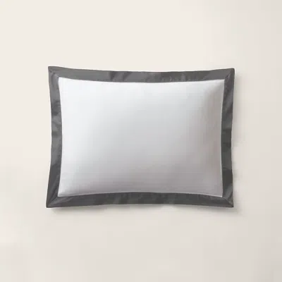 Polo Ralph Lauren Organic Cotton Sateen Border Sham In True Graphite