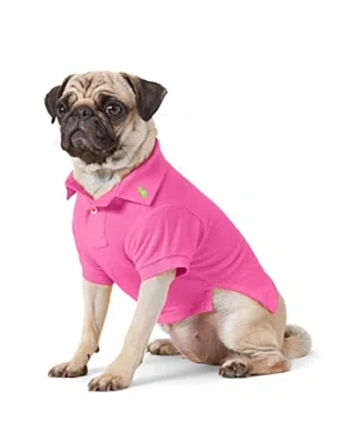 Polo Ralph Lauren Pet Cotton Mesh Dog Polo Shirt In Classic Pink