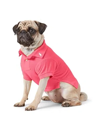 Polo Ralph Lauren Pet Cotton Mesh Dog Polo Shirt In Hot Pink