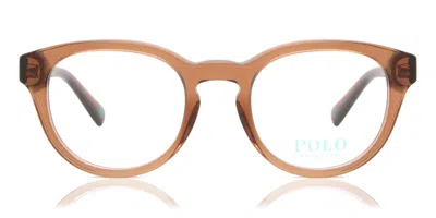 Polo Ralph Lauren Ph2262 Men's Glasses, Brown, Size 48 In Purple