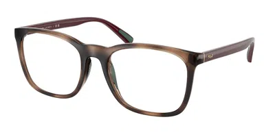 Polo Ralph Lauren Ph2281u Men's Glasses, Tortoiseshell, Size 52 In Brown