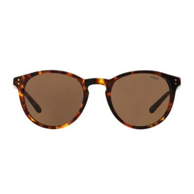 Polo Ralph Lauren Ph4110 513473 Havana Sunglasses In Brown
