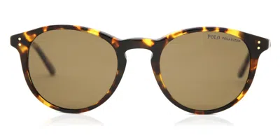 Polo Ralph Lauren Ph4110 Polarized 513483 Men's Sunglasses Tortoiseshell Size 50 In Brown
