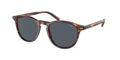 Polo Ralph Lauren Ph4181 500787 Men's Sunglasses Tortoiseshell Size 51 In Brown