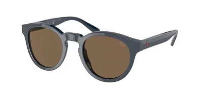 Polo Ralph Lauren Ph4184 562073 Men's Sunglasses Blue Size 49 In Brown