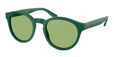 Polo Ralph Lauren Ph4192 6141/2 Occhiali Da Sole Verdi Per Uomo In Green
