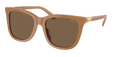 Polo Ralph Lauren Ph4201u 619673 Women's Sunglasses Brown Size 55 In Gold