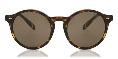 Polo Ralph Lauren Ph4204u 500373 Men's Sunglasses Tortoiseshell Size 50 In Brown