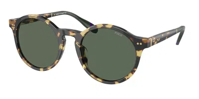 Polo Ralph Lauren Ph4204u 500471 Men's Sunglasses  Size 50 In Multi