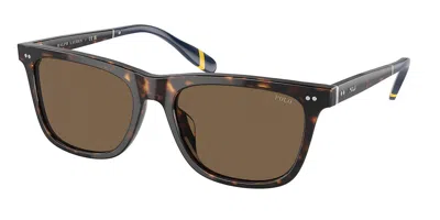 Polo Ralph Lauren Ph4205u 500373 Men's Sunglasses Tortoiseshell Size 56 In Black