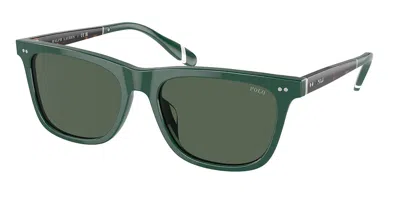 Polo Ralph Lauren Ph4205u 614171 Men's Sunglasses Green Size 56 In Purple