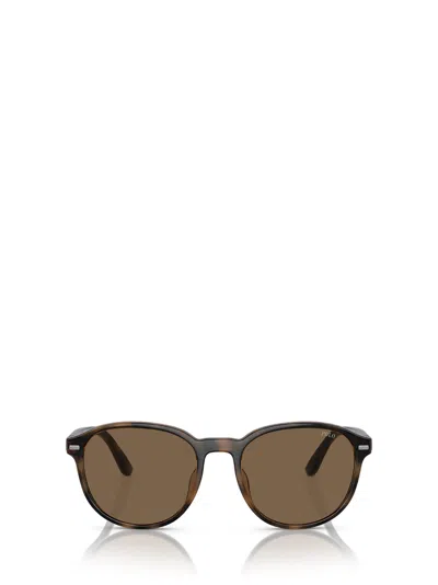 Polo Ralph Lauren Ph4207u Shiny Havana Sunglasses