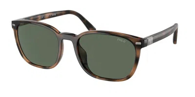 Polo Ralph Lauren Ph4208u 597471 Men's Sunglasses Tortoiseshell Size 55 In Green
