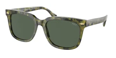 Polo Ralph Lauren Ph4210f Asian Fit 543671 Men's Sunglasses Tortoiseshell Size 53 In Green