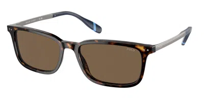 Polo Ralph Lauren Ph4212 500373 Men's Sunglasses Tortoiseshell Size 57 In Brown