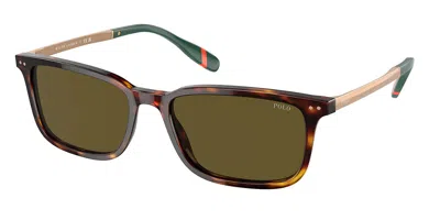 Polo Ralph Lauren Ph4212 613773 Men's Sunglasses Tortoiseshell Size 57 In Brown