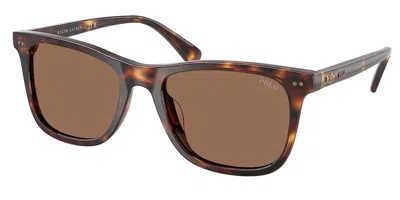 Polo Ralph Lauren Ph4220u 613773 Men's Sunglasses Tortoiseshell Size 55 In Brown